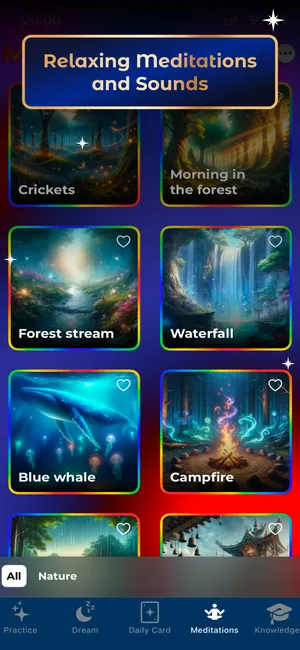 MetaCards App Screenshot